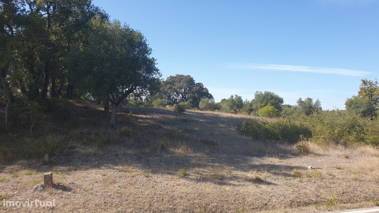 Terreno Rustico em PAÇO Torres Novas