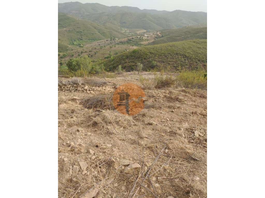 Terreno Misto em São Bras do Alportel - Grande imagem: 4/11
