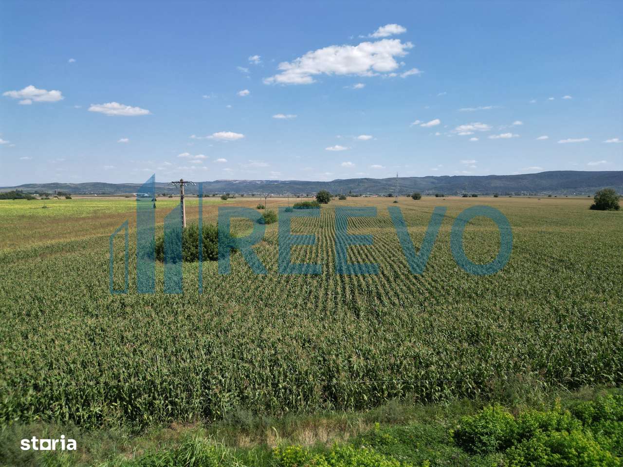 Teren de vânzare, Letea Veche, Jud. Bacău - Imagine principală: 4/8