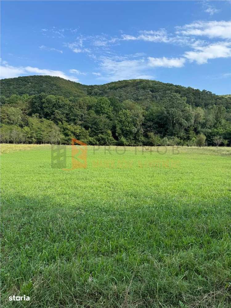 Teren intravilan zona Mierea, com. Vernesti - Imagine principală: 2/5