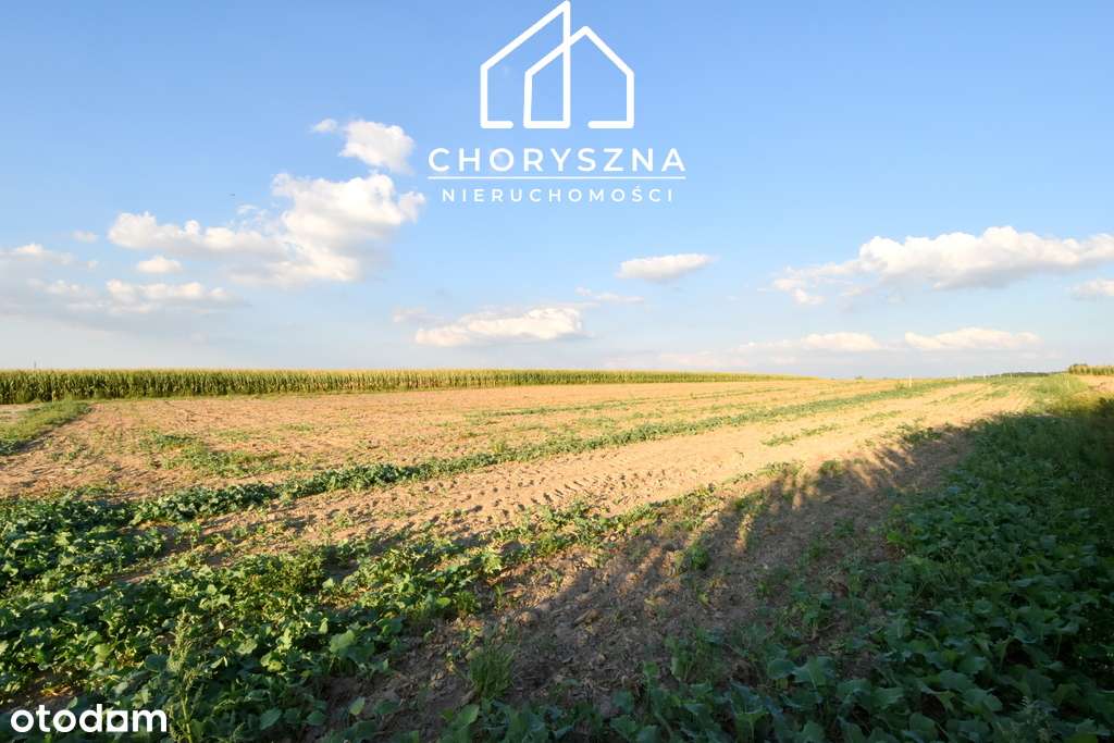 Działka budowlana w Namysłowie - "Stare Miasto" - Pełny obrazek: 4/20