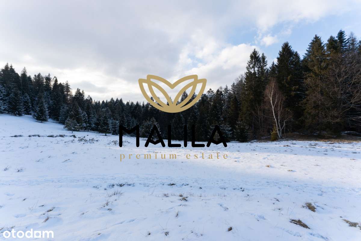 Unikalna i widokowa działka w Malowniczej Zawoi – Hala barankowa-3