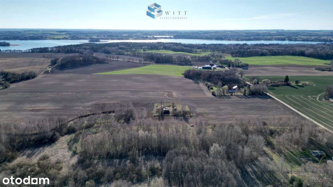 Cisza, jezioro i lasy–działka marzeń w Ostrowite - Pełny obrazek: 4/15