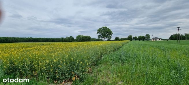 działka budowlana Jadwinów