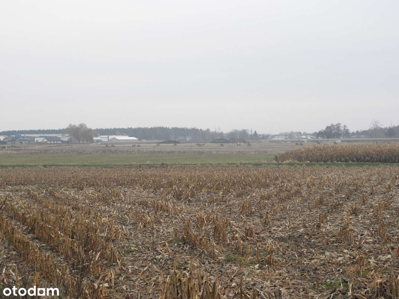 Działka 15 000 m² w Chojęcinie przy nowym osiedlu mieszkaniowym-7