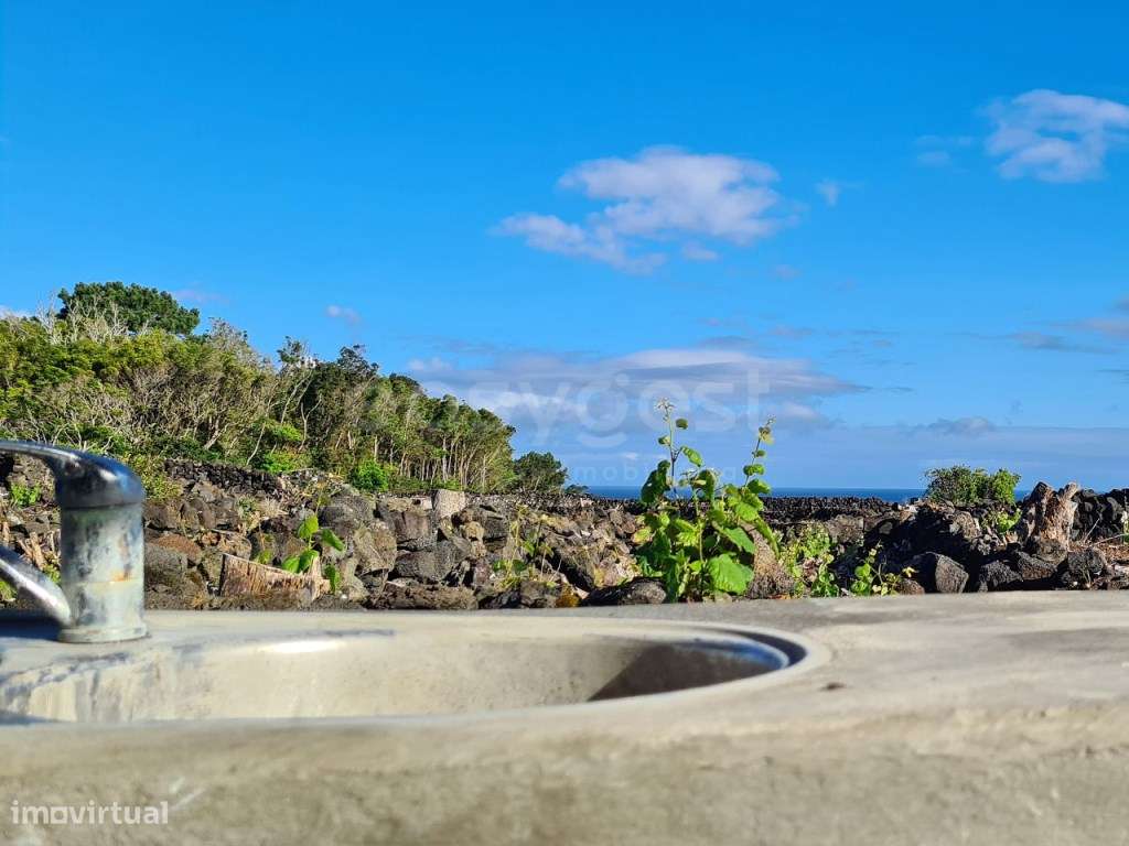 Terreno com Vista Mar e Montanha do Pico - Paisagem UNESCO - Grande imagem: 3/12