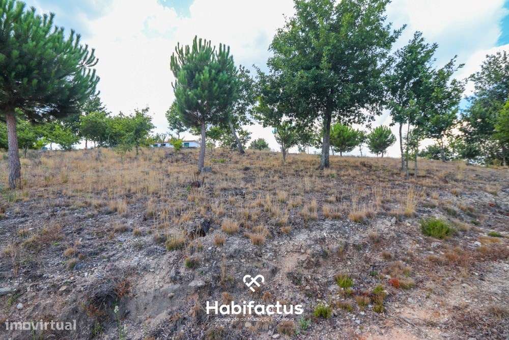 Lote de terreno urbano com 5003 m2 para venda em Santos Êvos-12