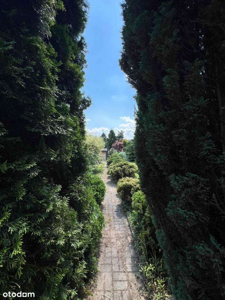 Piękna działka rekreacyjna Rod 282m2. Tysiąclecie,-7