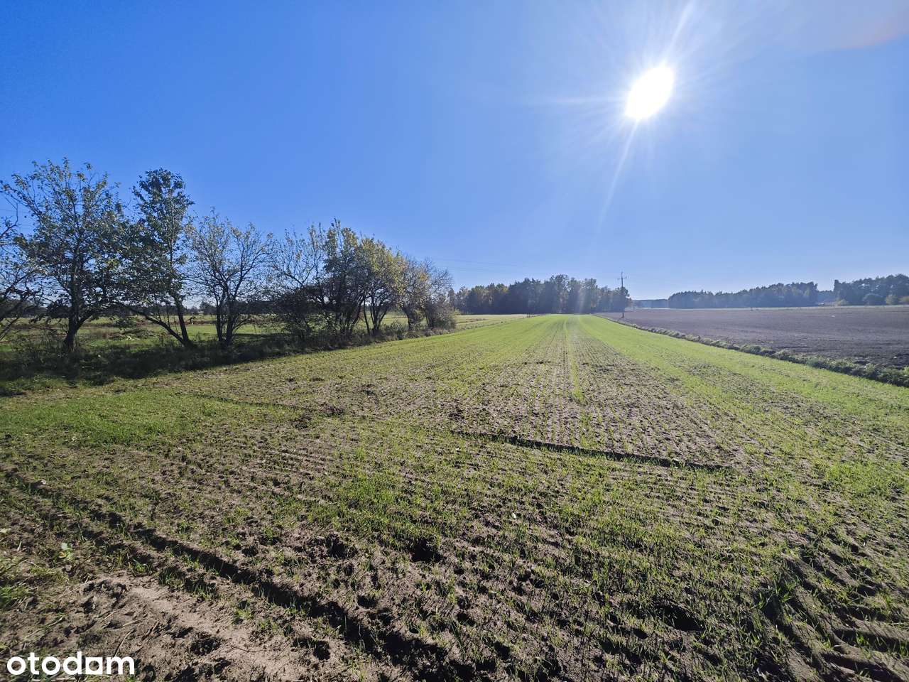 Urocza działka z rozpoczętą budową | Józefów, gm. Wodzierady | 5715 m²-2