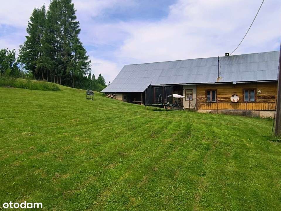 dom w Czarnej Górze na działce 2225 m2 - Pełny obrazek: 4/20