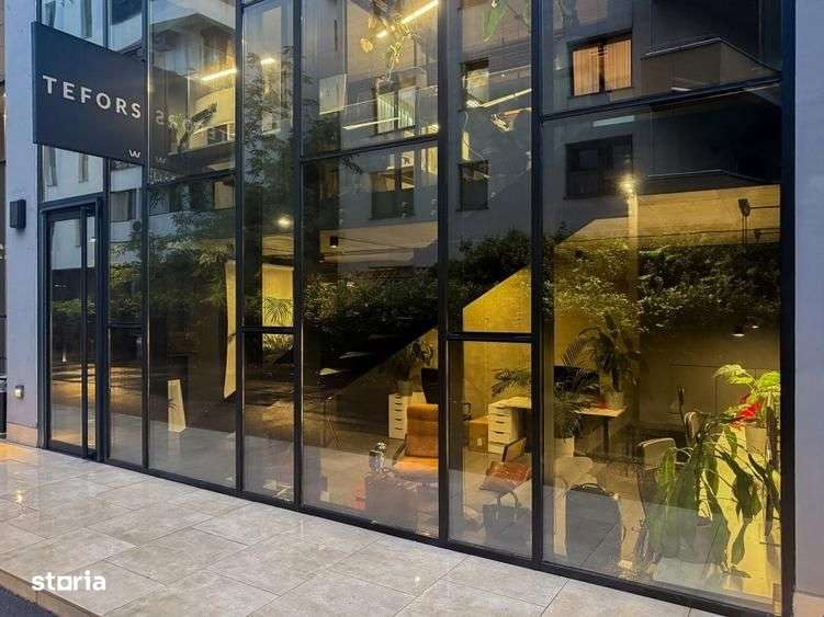 Spatiu Comercial | Herastrau | 2 Etaje | 2 Intrari - Imagine principală: 3/15