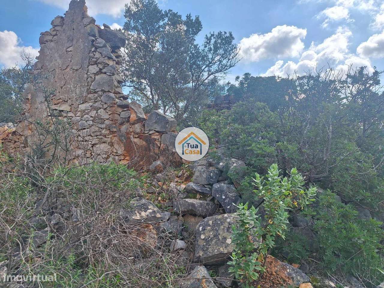 Terreno com ruína no Medronhal na freguesia de Santa Barbara de Nexe d - Grande imagem: 4/15