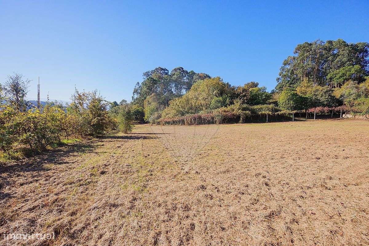 Quinta  para venda - Grande imagem: 4/18