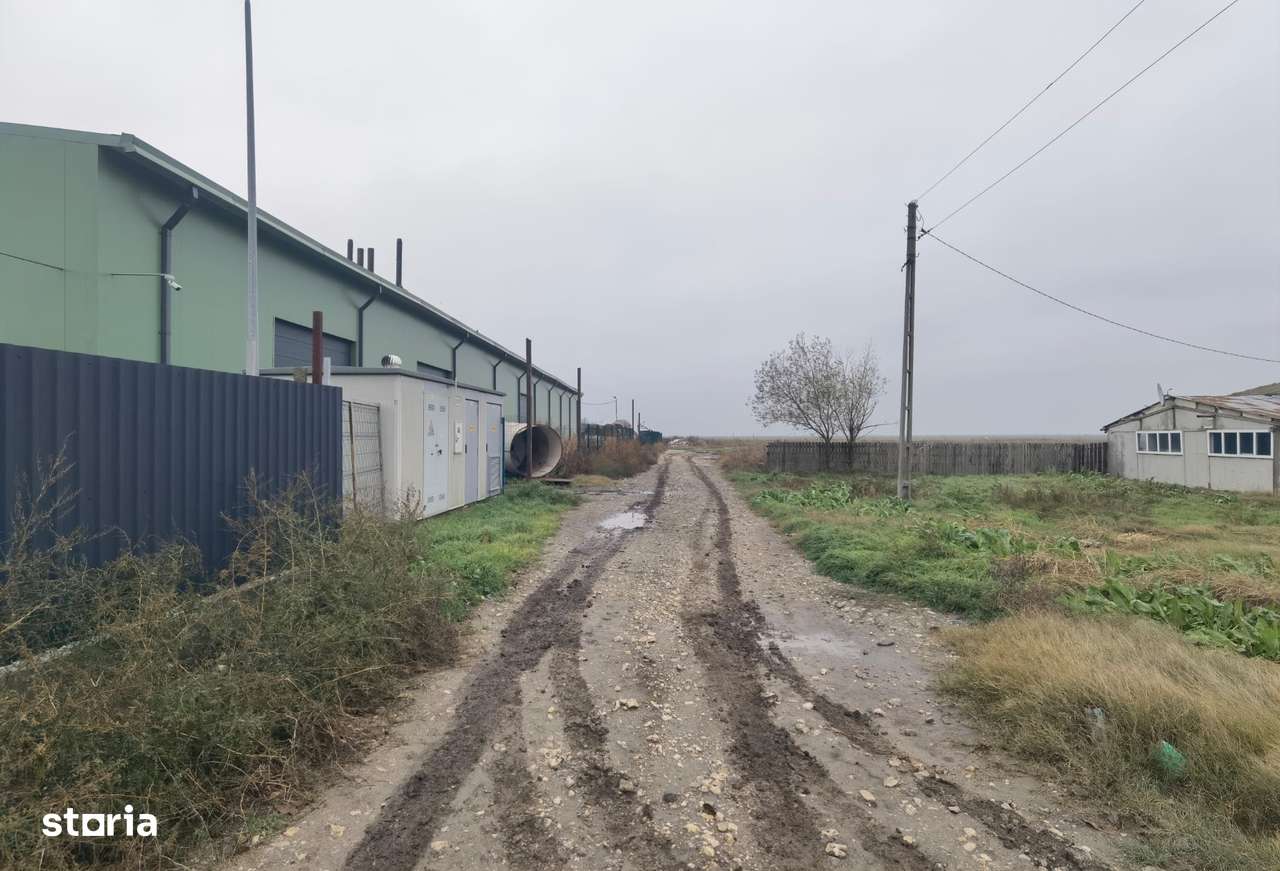 Topraisar langa Biosera Sofra teren 4649 mp cu hala 347 mp 17 eur mp - Imagine principală: 4/6