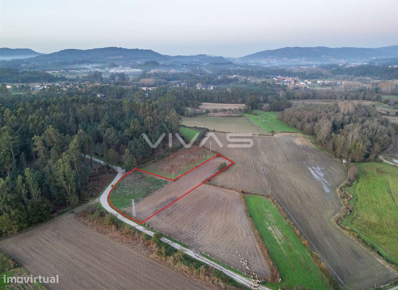 Terreno Rústico  Venda em Associação de freguesias do Vale do Neiva,Po - Grande imagem: 2/15