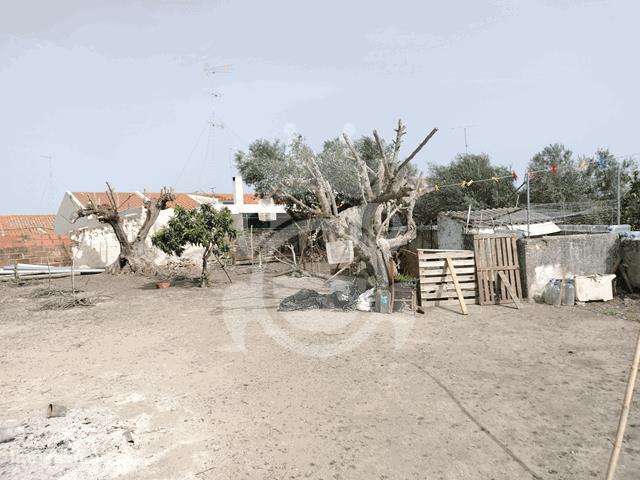 Moradia renovada com grande quintal - Perolivas-14