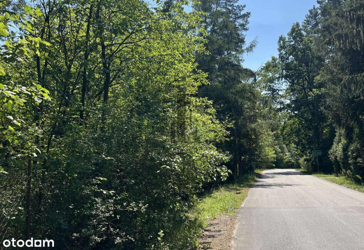 Piękna działka | Zielona okolica | 824m2 - Pełny obrazek: 5/8