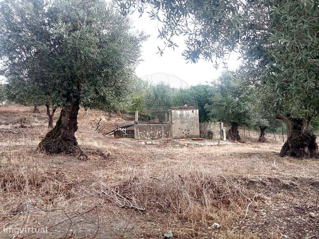 Moradia T1 para venda - Grande imagem: 5/6