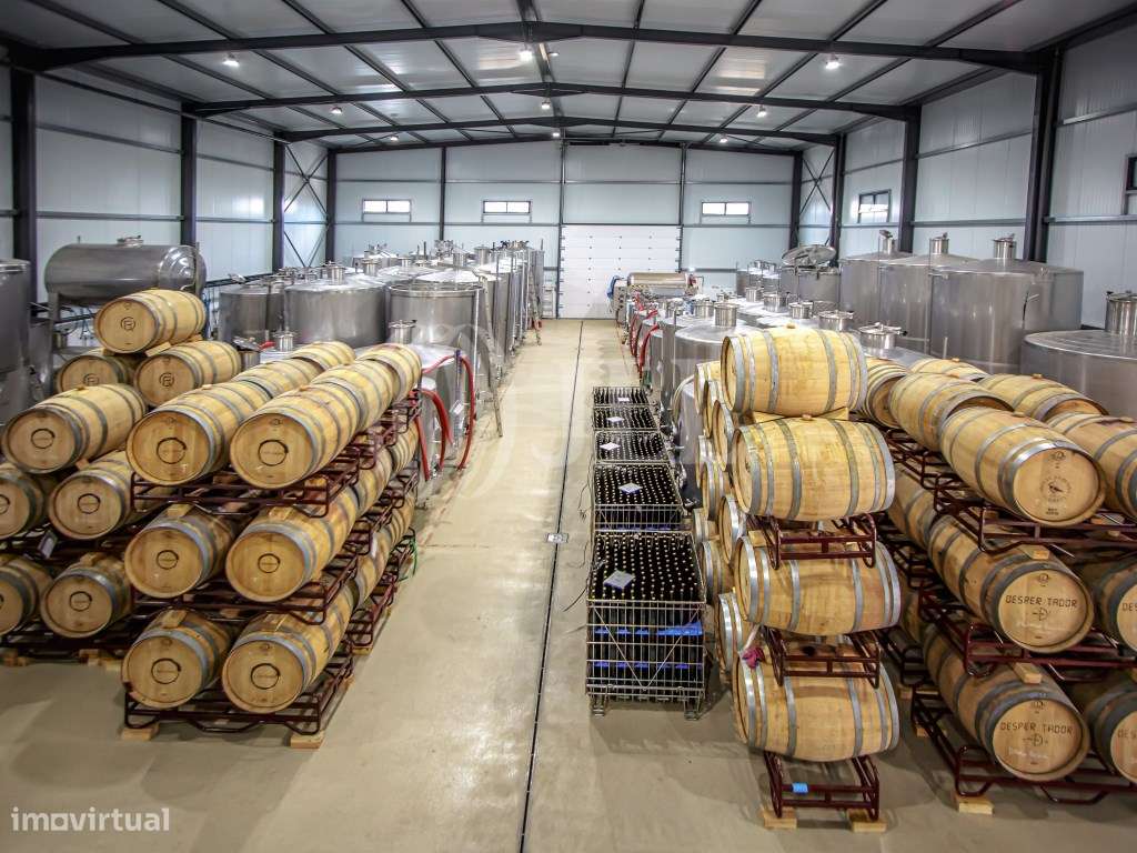 Adega em Parchal, Lagoa Algarve - Grande imagem: 4/6