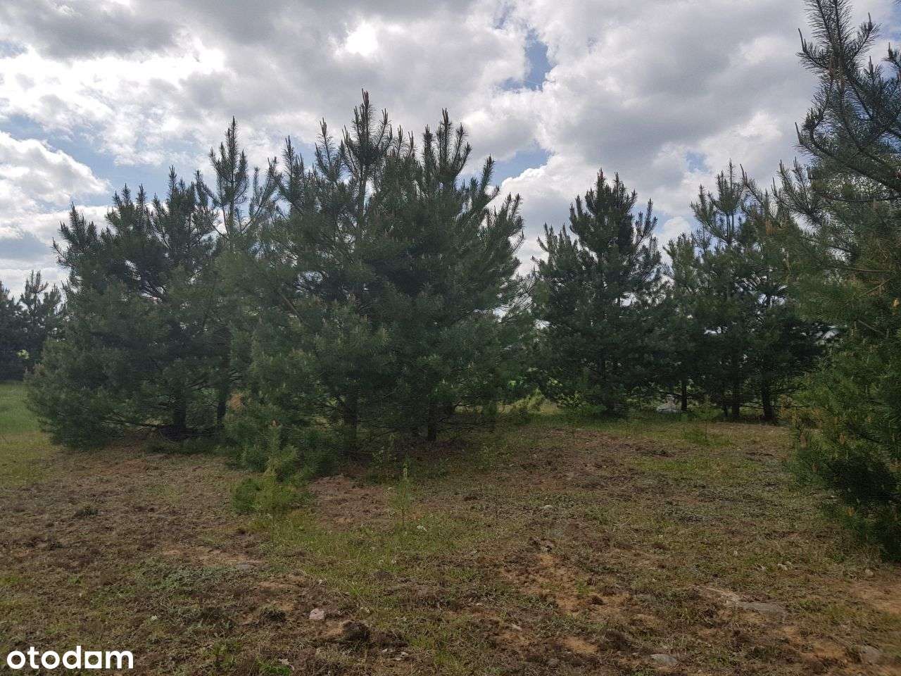 Wyczechowo Działka budowlana-0