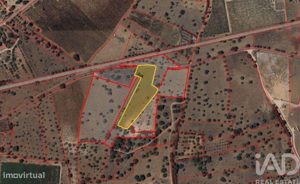 Terreno Agrícola em Algoz e Tunes de 6400,00 m2 - Grande imagem: 4/5