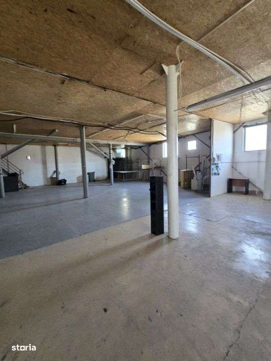 Hala 1000mp zona Bradului - Imagine principală: 2/7