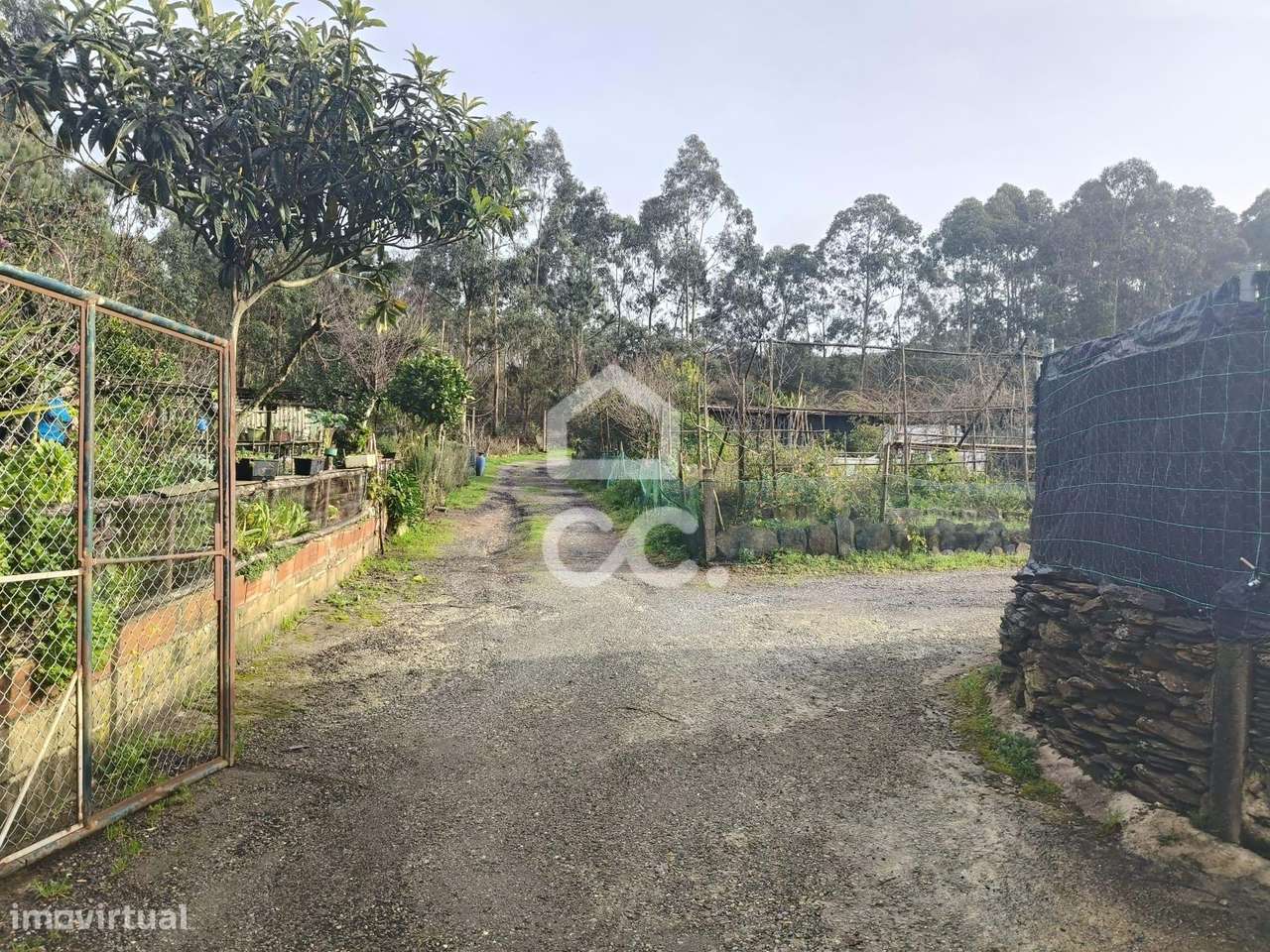 Lote de Terreno para Desenvolvimento | 8.800 m² | Valongo | Com Rendim-11