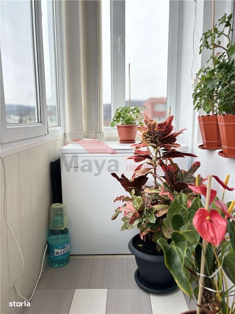 Apartament 3 camere, Decebal-7