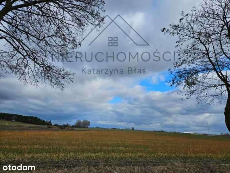 Działka budowlana w Białej-7