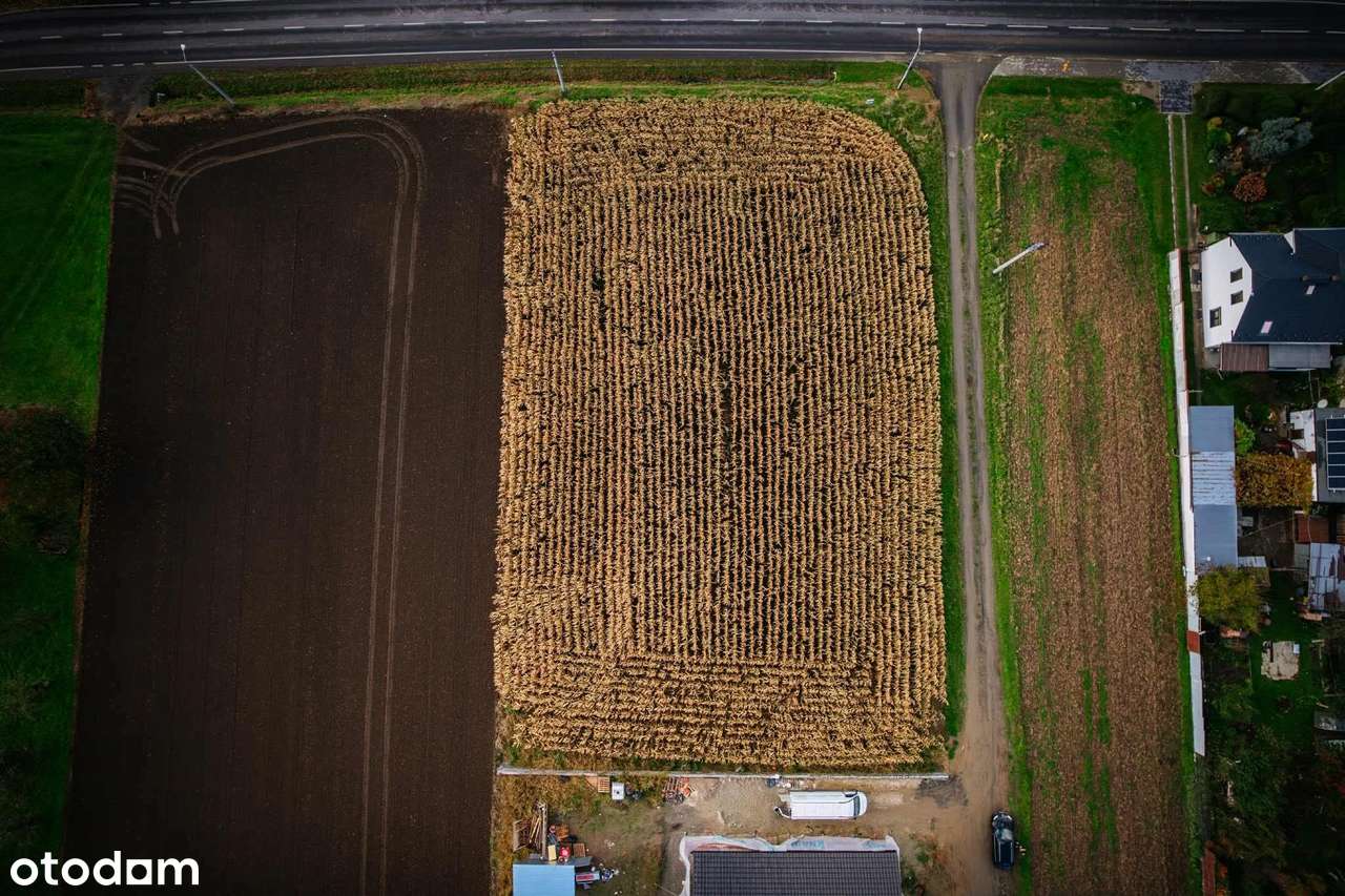 Kiedy szukasz ciszy, natury w  nowoczesnej zabudowie jednorodzinnej-6