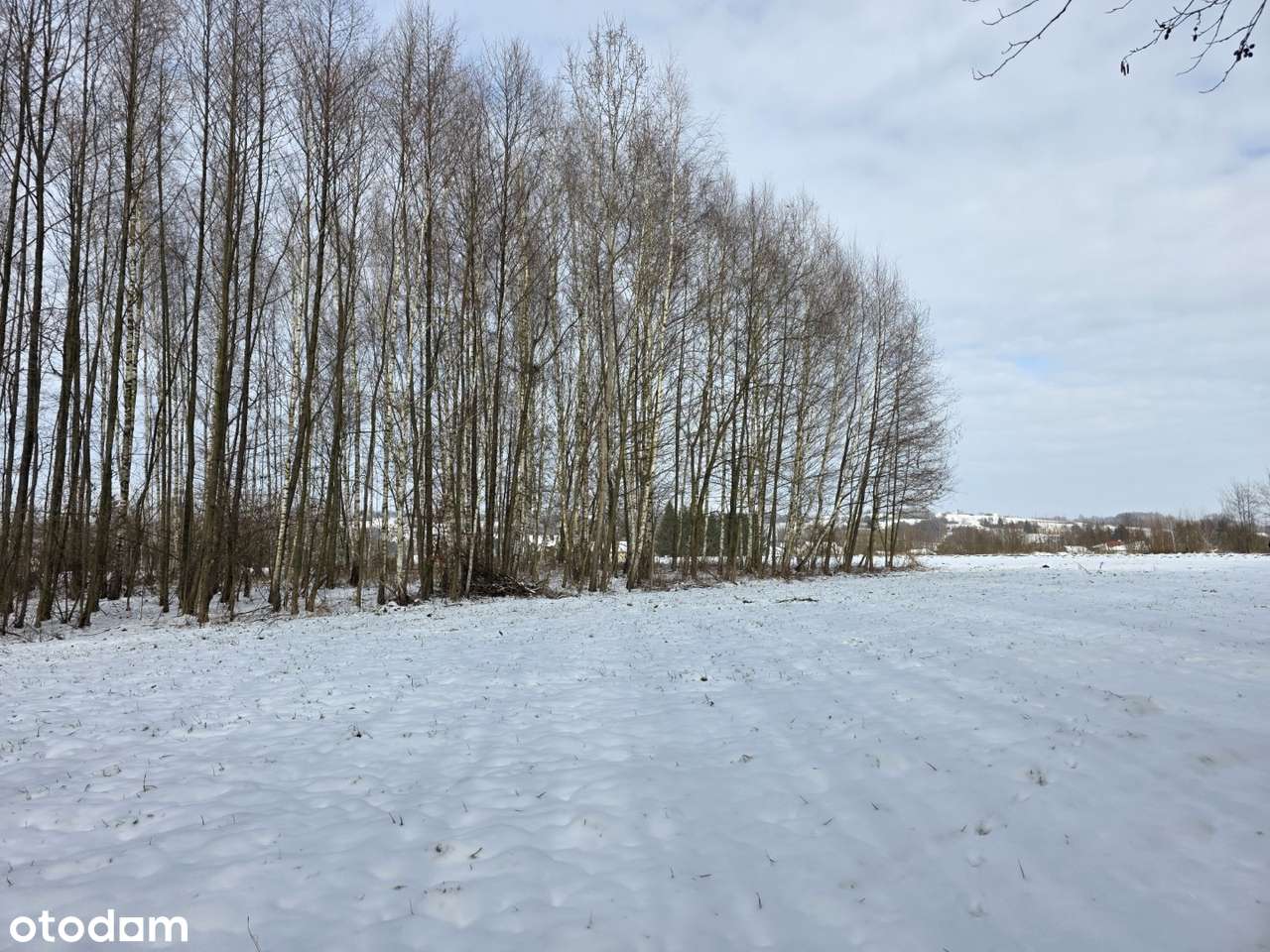 Działka 19 arów – idealna na rekreację | Wójtowa-6