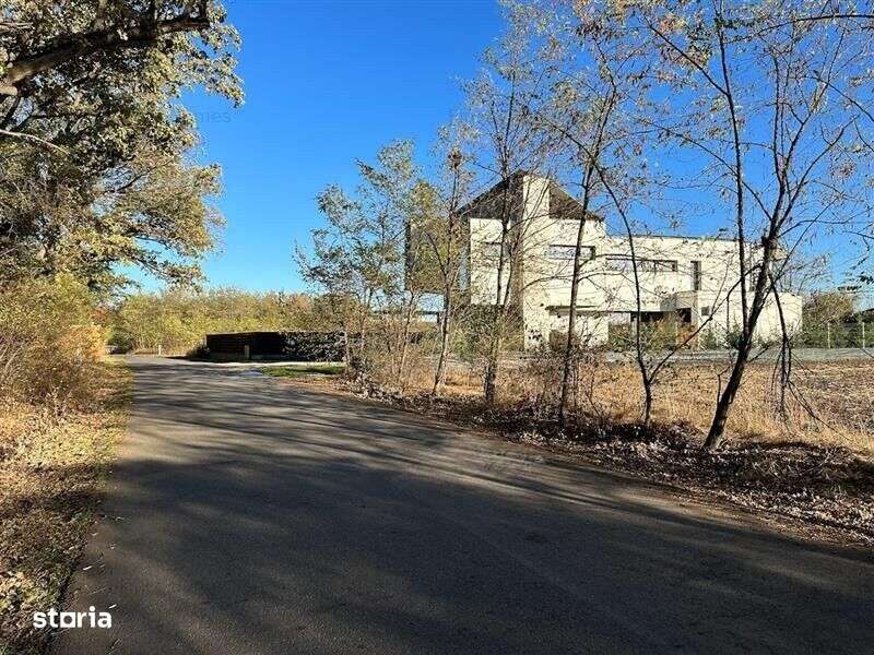 Teren intravilan 1170 mp Corbeanca Padurea Tamasi-4