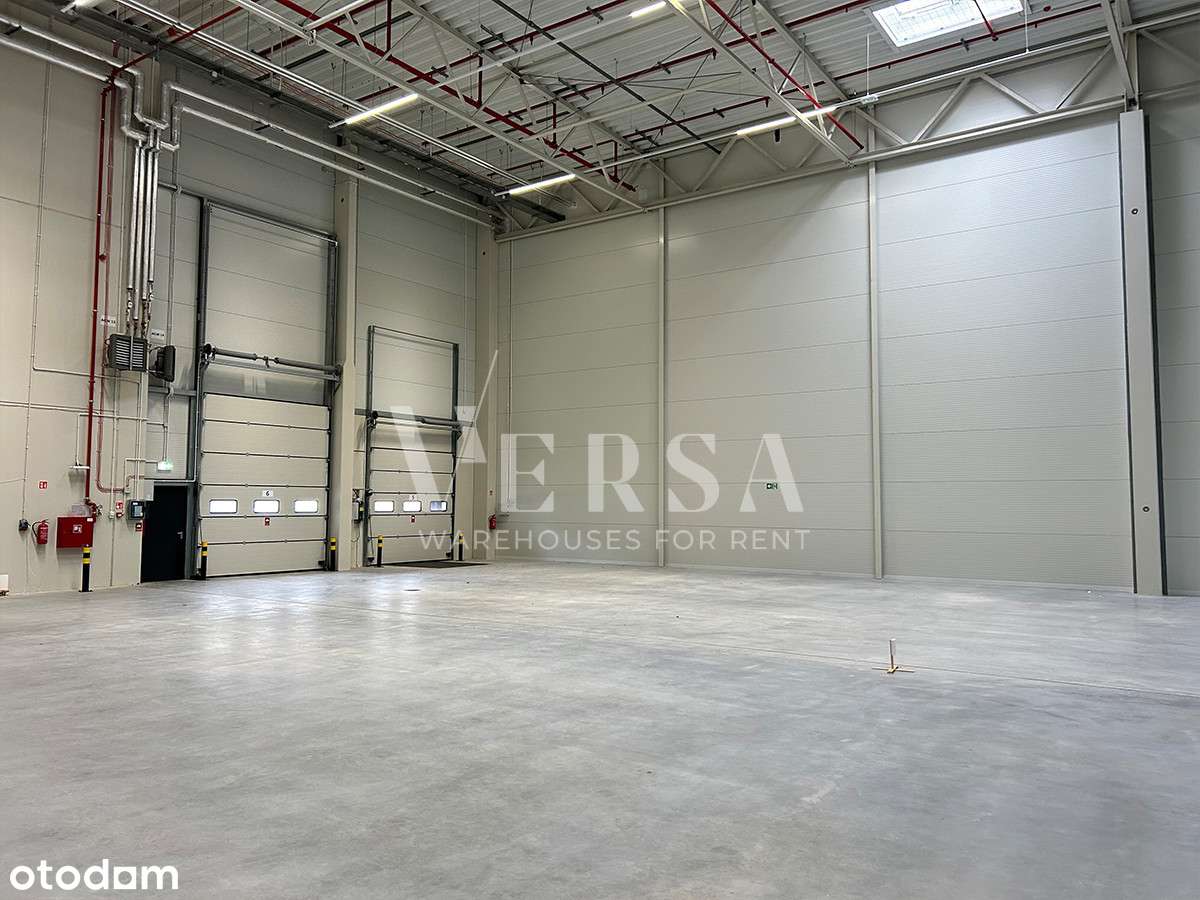 Do wynajęcia hala magazynowa z biurem - Pełny obrazek: 5/8