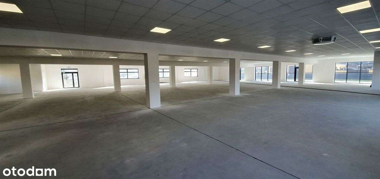 Lokal użytkowy, 1 889 m², Kutno - Pełny obrazek: 5/9