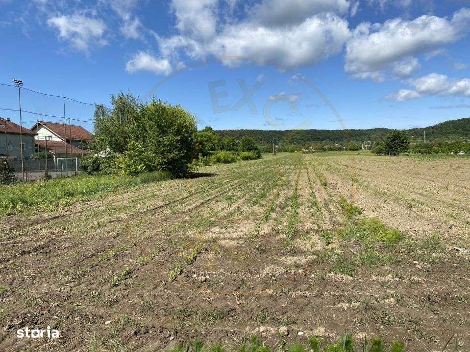 Teren intravilan 7.295 mp – Argeselu, Maracineni, AG - Imagine principală: 2/7