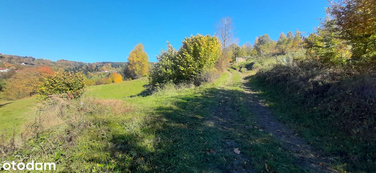 Budowlana działka w Pcimiu, dojazd, widoki - Pełny obrazek: 5/12