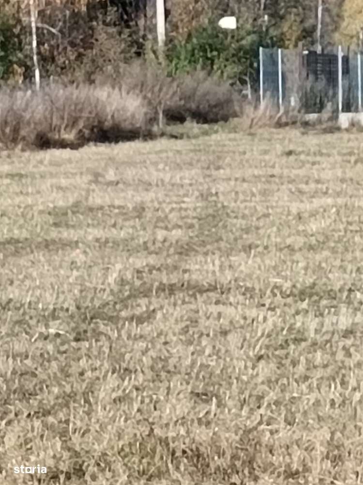 Teren langa Padure Dragomirna 40 Ari ISuceava/Dragomirna I 64.000Euro - Imagine principală: 4/7