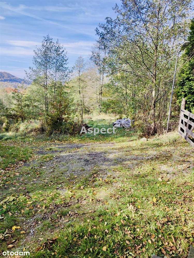 Działka budowlana 2600 m2 Brenna ul.Widokowa - Pełny obrazek: 5/11