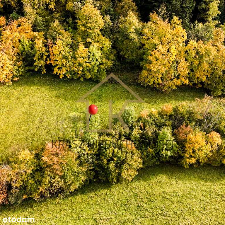 Zaciszna działka rolna w sercu zielonej przyrody - Pełny obrazek: 4/10