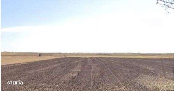 Teren extravilan cota parte 3/16 Amaru, ID: R2764932 - Imagine principală: 1/7