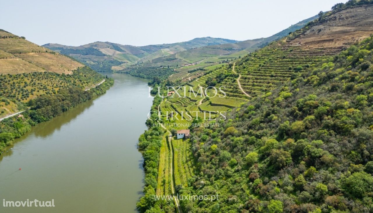 Quinta vinícola para venda no Alto Douro Vinhateiro, Douro Valley