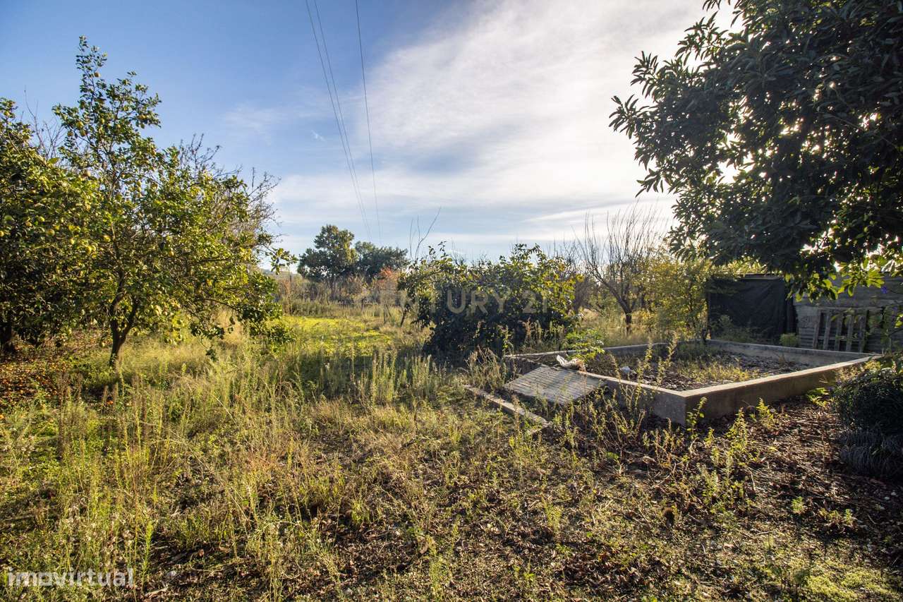 Terreno Rústico em Quinta do Anjo, Palmela - 11.800m2-10