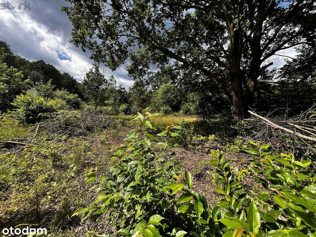 Działka  800 m2 Henryszew z MPZP  150 zł 1 m2 - Pełny obrazek: 4/13