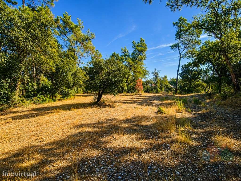 O Seu Refúgio na Natureza a 5 Minutos da Cidade-13
