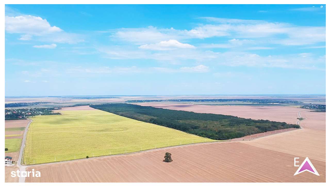 Comunitate verde, teren intravilan case – Frumușani, 13 km-A0. Superb.-8