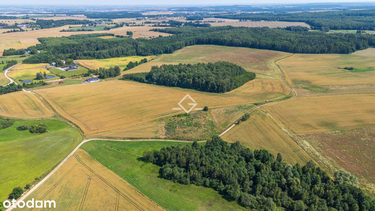 Działki budowlane | 17 km od Gdańska | Kaszuby - Pełny obrazek: 5/10
