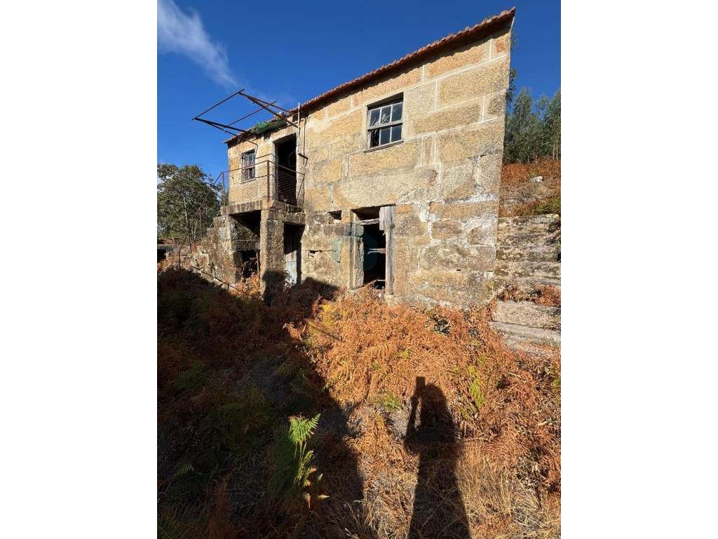 Quinta com Potencial em Marco de Canaveses-15