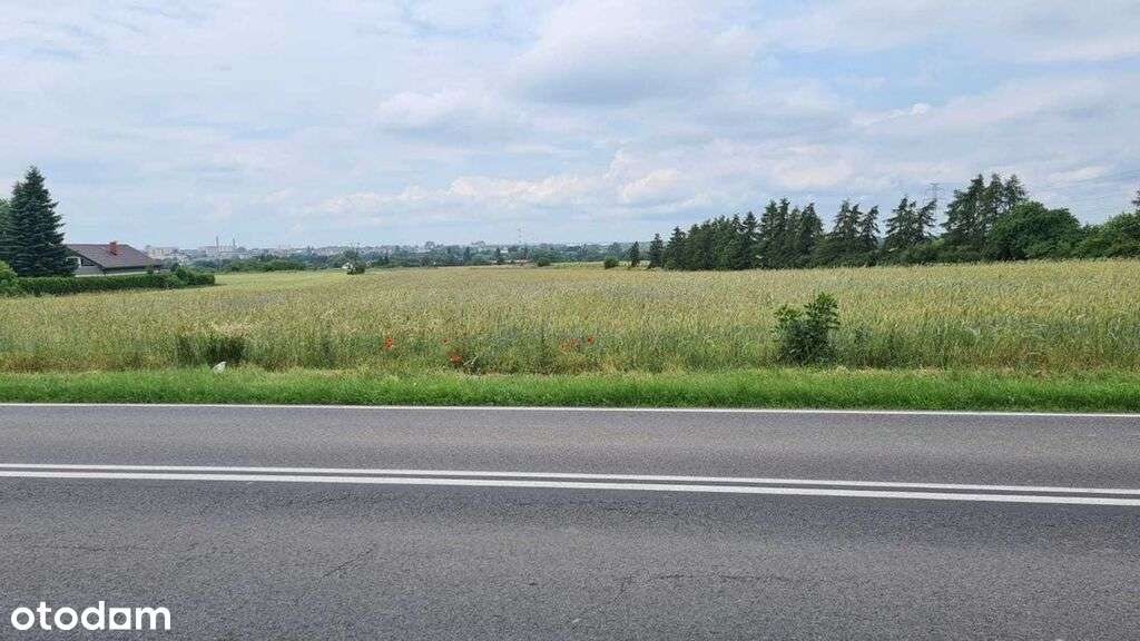 Działka budowlana z pięknym widokiem - Pełny obrazek: 4/5