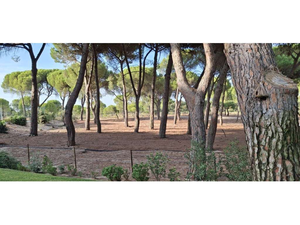 Luxuosa propriedade entre Grândola e Comporta, com 24 hectares-10