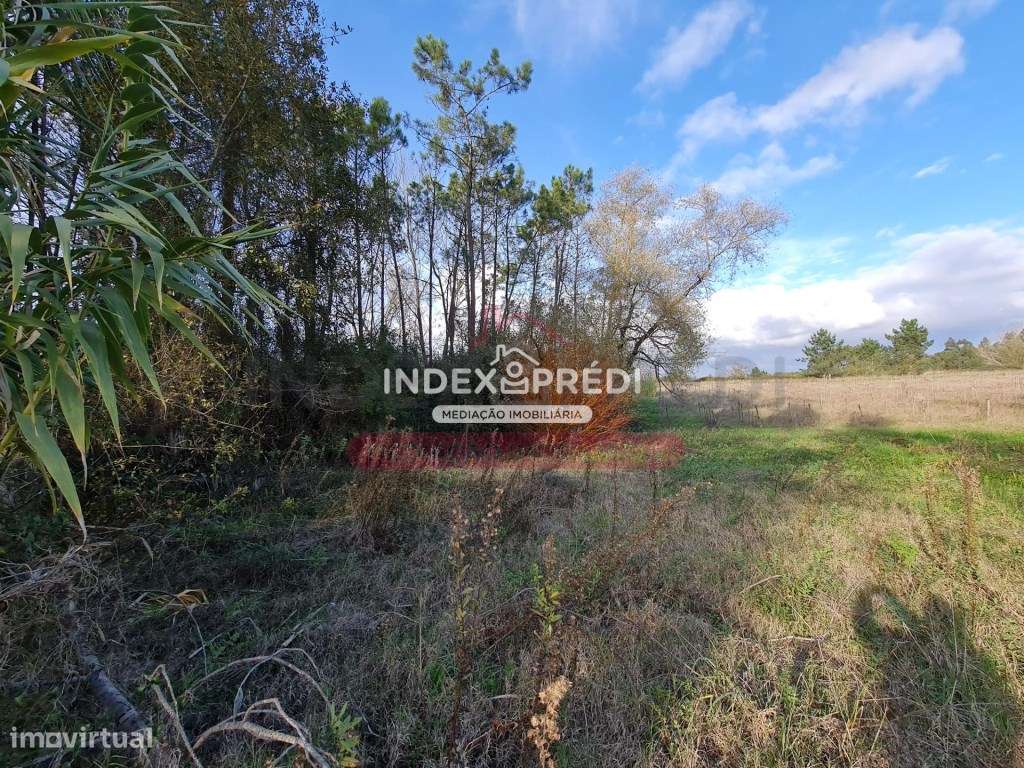 Terreno Venda Cantanhede - Grande imagem: 5/10